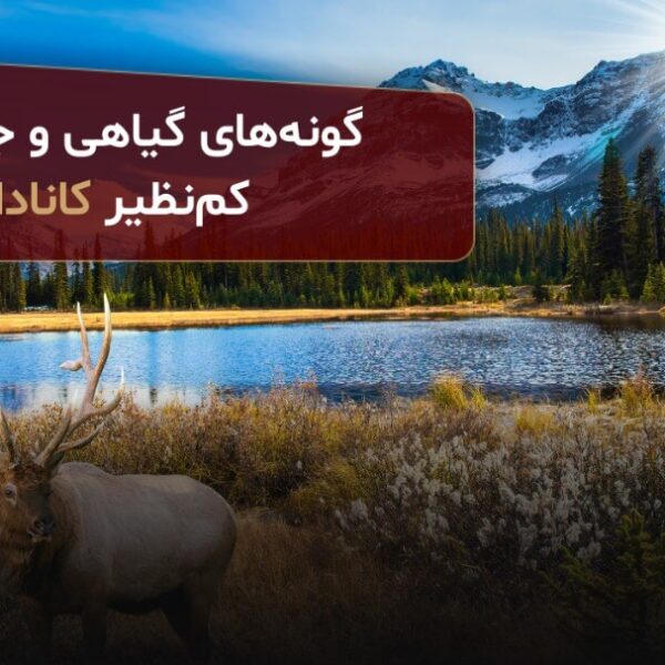گونه‌های کم نظیر کانادا