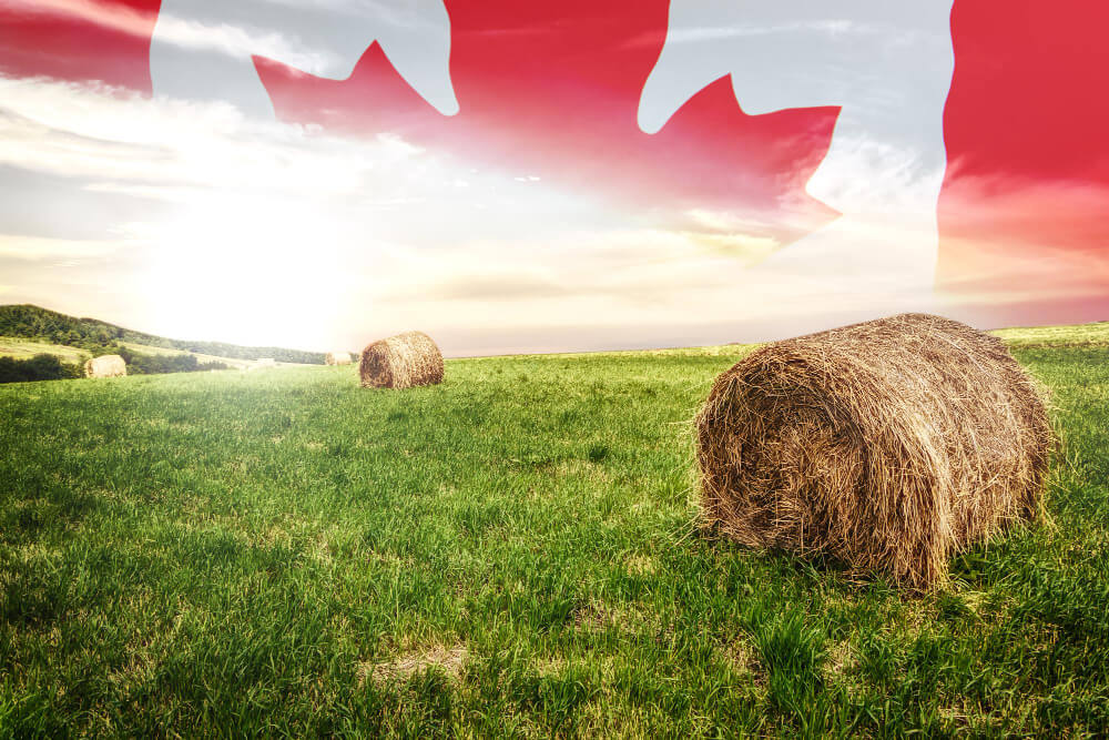 افزایش زمین‌های کشاورزی در کانادا