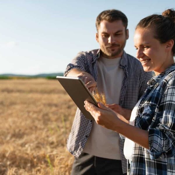 five free settlement resources for temporary foreign workers in canada